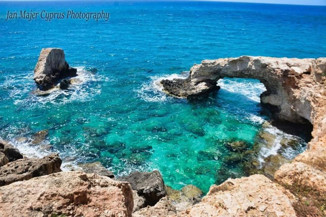 Nissi 3 Pool Access Garden Apartment Αγία Νάπα Εξωτερικό φωτογραφία